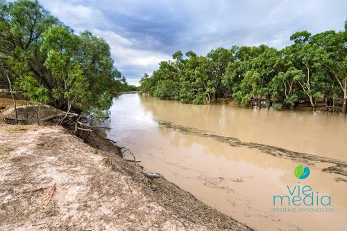 The Darling River at Louth during a high flow after a drought. Darling River, Outback NSW, Australia