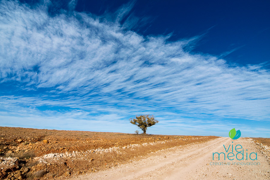 An unsealed road with a tree beside it on the crest of a hill - road conditions on the Darling River Run, Outback, NSW, Australia