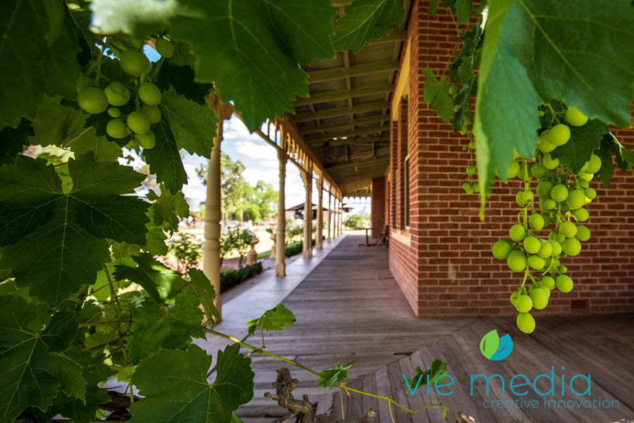 Looking along the veranda of an old homestead adorned by a grapevine with fruit soon to be ripe. 