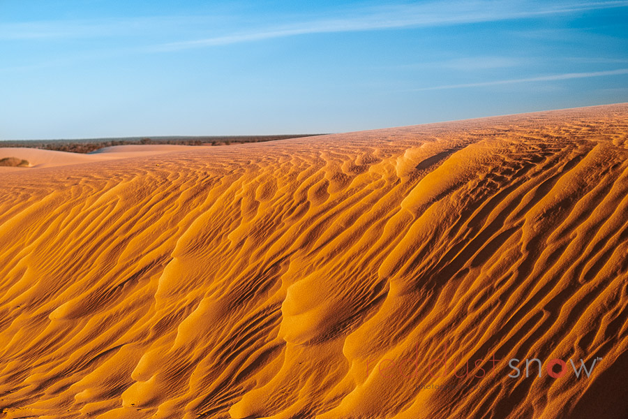 The setting sun casts shadows over the sand dune on top of the 'Walls of China'. Lake Mungo, Outback NSW