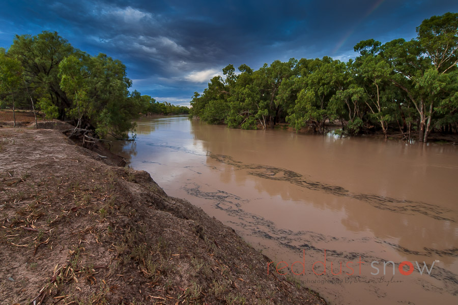 The Darling River at Louth during a high flow after a drought. Darling River, Outback NSW, Australia
