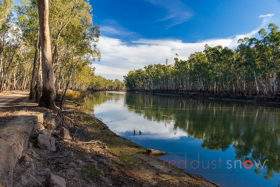 Murray River long the Barmah Picnic Point Road, NSW Australia