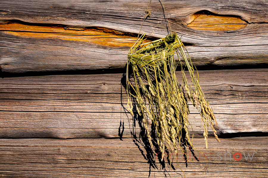 Midsommarkrans (midsummer wreath) with rustic textures of the external walls of traditional log cabins at Norra Berget Naturreservat, Sundsvall Sweden
