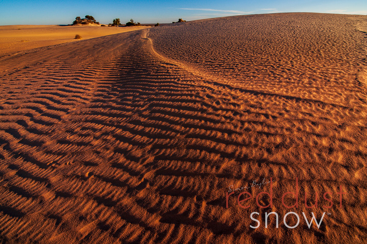 Mungo NP