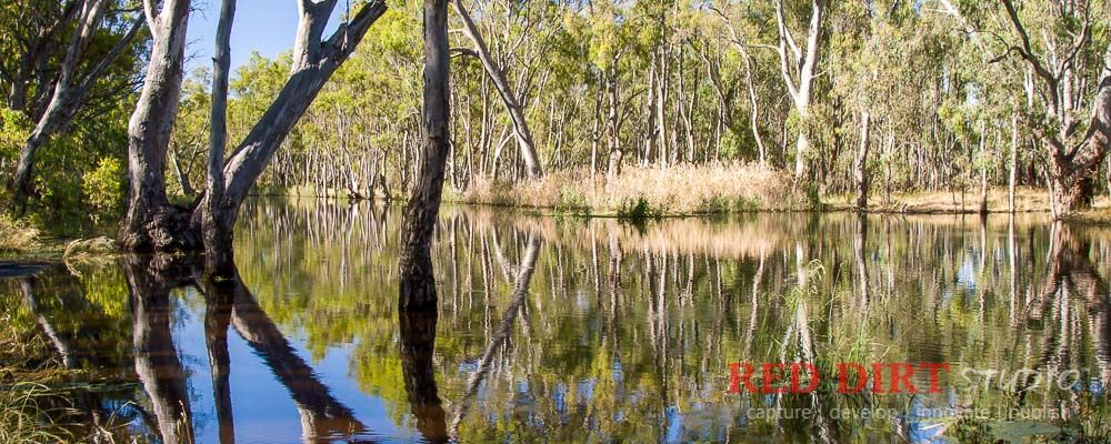 Murray View Murray River Mathoura NSW Australia 57
