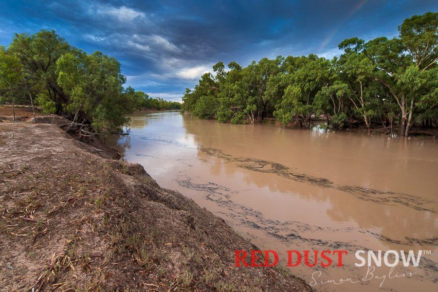 The Darling River in 2008 during a high flow at Trilby Station, Louth, Outback Australia
