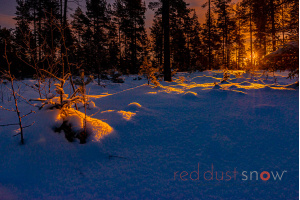 Vinterljus Winter Light