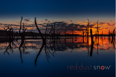 Murray River Reflections 04