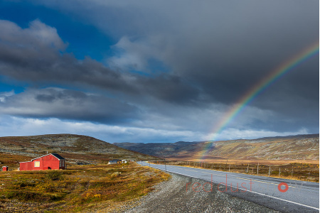 Stokkedalsveien