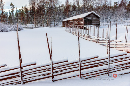 Långlogen Vinter 01