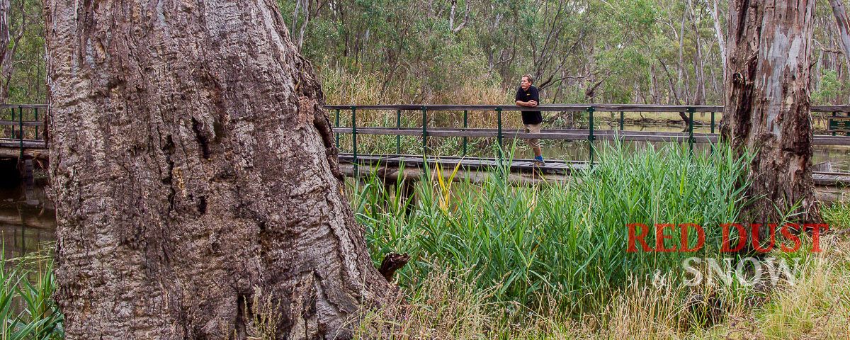 Walking one of the many walking trails around Mathoura, NSW.