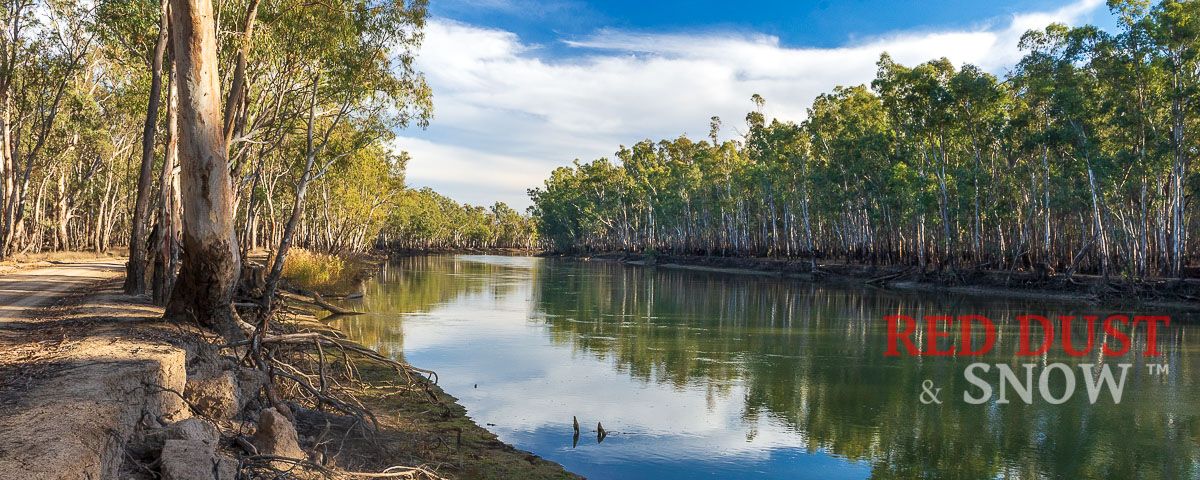 The Murray River along Barmah River Road, Barmah, Victoria, Australia