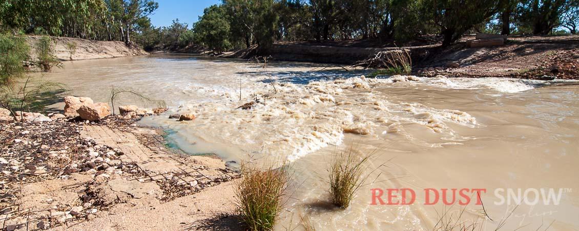 The Darling River Run - The Darling River at Pooncarie, Outback NSW, Australia. Simon Bayliss