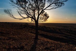 Mundi Mundi Sunset, Silverton