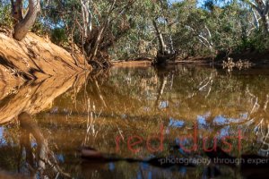 Fowlers Gap Creek