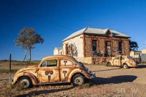 Vegemite Painted VW