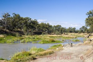 Fish Traps