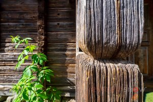 Timbers and Textures