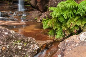 Wentworth Falls #01