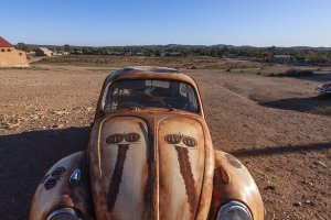 Vegemite Painted VW