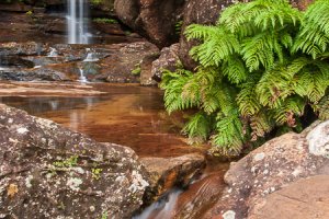 Wentworth Falls #01