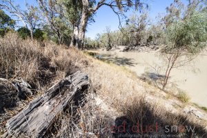 Darling River Redgums Pooncarie Outback NSW