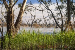 Tandure and Wetherell Lakes