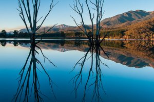 Lake Buffalo Reflections