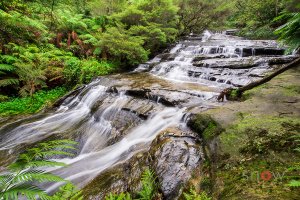 Blue Mountains - Sydney NSW