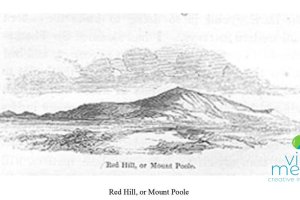 Red Hill - Mount Poole