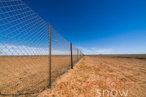 Dog Fence 02