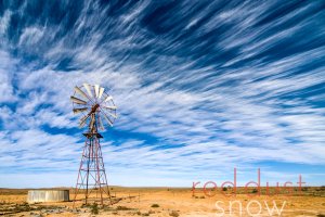 Sturt National Park South Torrens Bore 