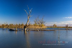 Lake Pamamaroo 2018