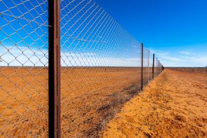 Dog Fence