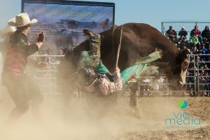 Deni Ute Muster. Bull Ride