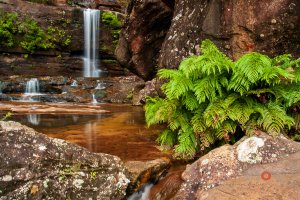 Wentworth Falls #02