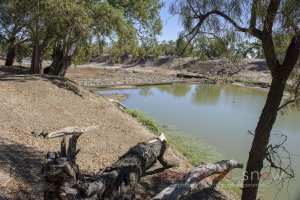 Tilpa Weir - March 2018