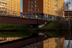 Autumn Reflections