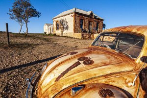 Vegemite Painted VW