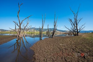 Original course of Murray River exposed with low Lake Hume level