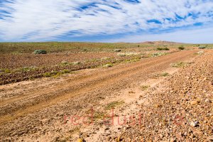 Sturt National Park Mt Wood Road