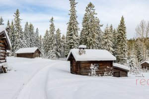 Fäbodvallen