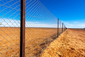 Dog Fence