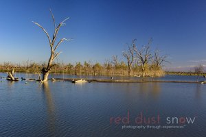 Lake Pamamaroo March 2018