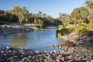 Daring River camping