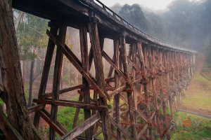 Noojee Trestle Bridge #02