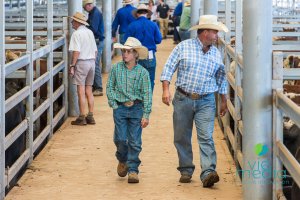 Mixed Weaners Annual Sales at NVLX