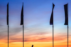 Manly Sunrise silhouette