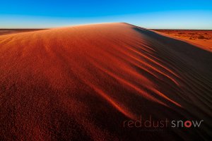 Dune Lines