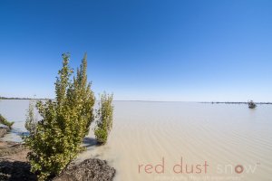 Menindee Lakes